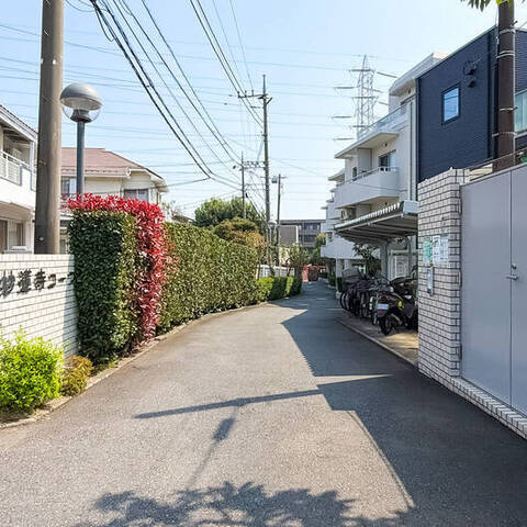 藤和妙蓮寺コープの建物・共用部写真