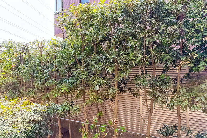 正面には別のマンションが建っており抜け感はありませんが、間にマンション共用部の植栽が。常緑樹のようなので、一年中窓の外のグリーンを楽しめそうですね。