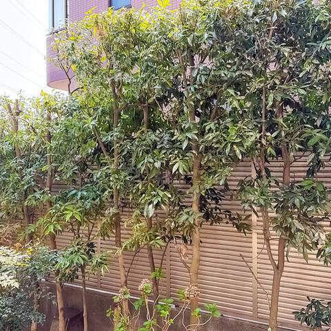 藤和妙蓮寺コープの眺望・バルコニー写真