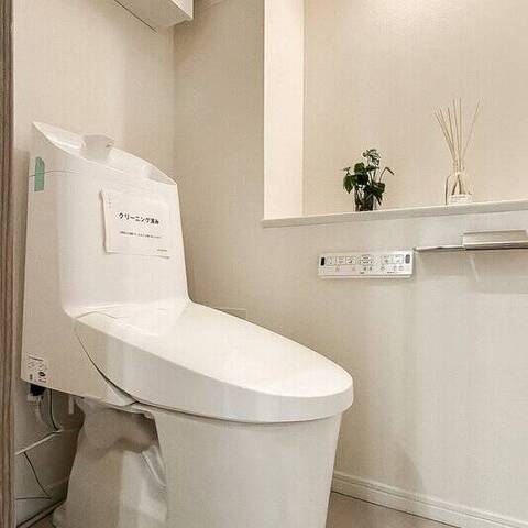 上野毛シティハウスサウステラスの室内写真