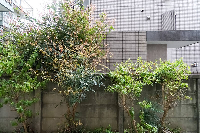 こちらは1階の住戸です。目の前には植栽とブロック塀があり、人や車の行き来はありません。外からの視線を気にせずのびのびと過ごせそうでGOODですね。