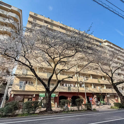 第5桜台ファミリーマンションの室内写真