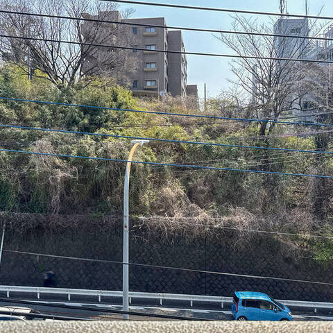 メディウス青葉台の室内写真