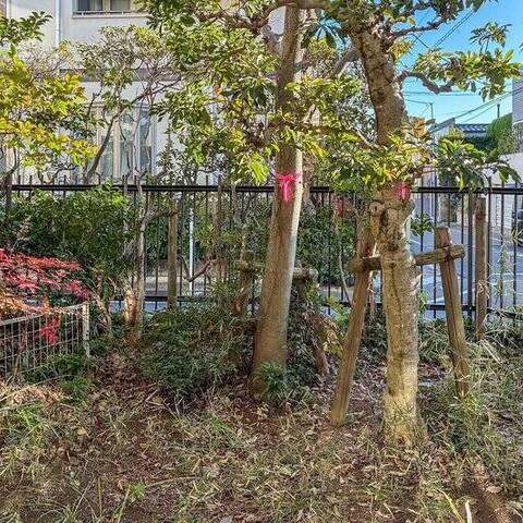 インペリアル八雲ハイムの眺望・バルコニー写真