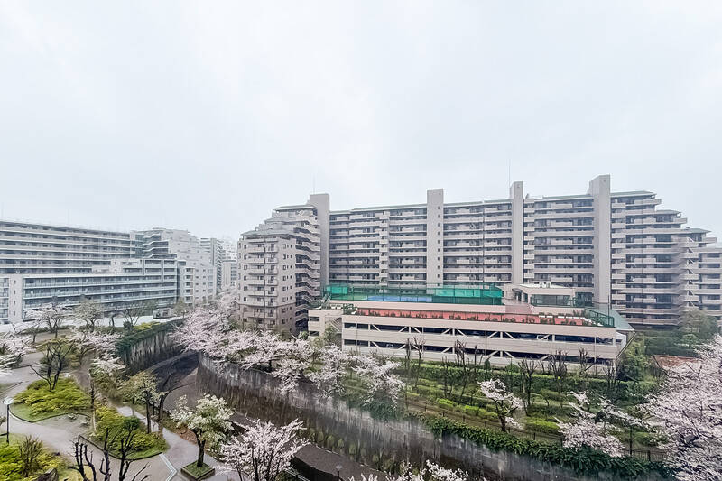 南西側の眺望。冒頭にご紹介した「石神井川」と、川に沿うように植わる桜が美しい……！心なしか、いつもより空気が美味しく感じます。