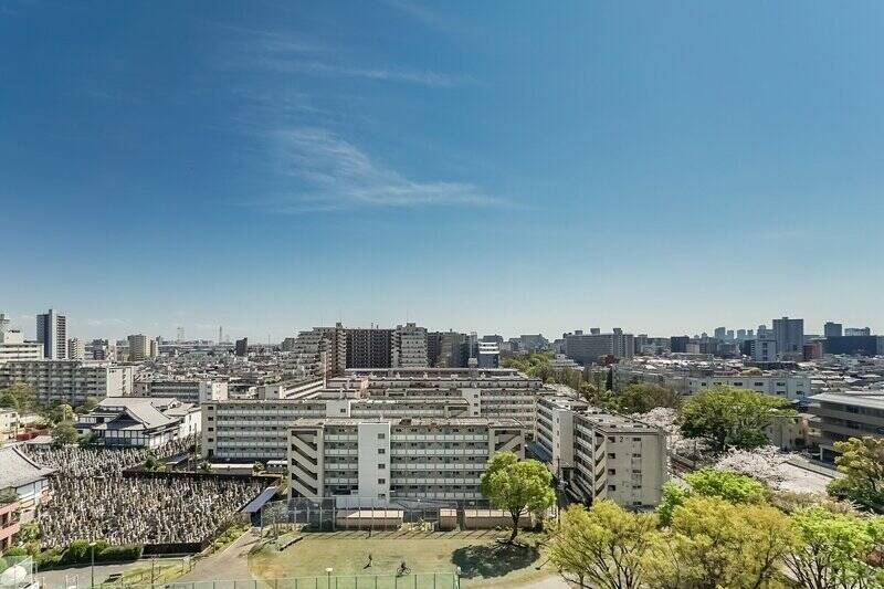 <p>空が広い……！ 春には、緑道沿いの桜並木が右手にちらり。そして左手には「上妙寺」「因速寺」と、その墓地も視界に入ります。</p>