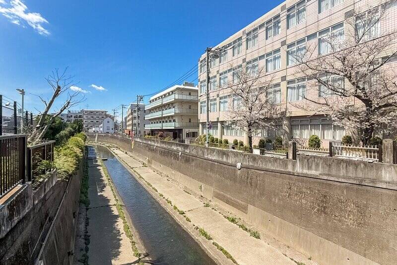 最後に、桜の季節の善福寺川沿いの風景を一枚。四季の移ろいを感じながらのジョギングや、愛犬との散歩にぴったりのコースです。