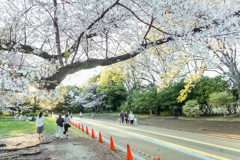 物件から徒歩7分の「駒沢オリンピック公園」は、家族みんなが楽しめるスポット。いくつものスポーツ施設に加えて、ランニングコースとサイクリングコースが整備され、広々としています。 中央広場では「肉フェス」「東京ラーメンショー」「オクトーバーフェスト」など、1年を通して楽しいイベントが開催されますよ！