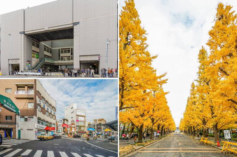 <b>左上・</b>最寄りは、東急東横線・目黒線・新横浜線・横浜市営地下鉄グリーンラインの4路線を利用できる「日吉」駅。「横浜」「渋谷」「池袋」まで乗り換えなしでアクセス可能です。（徒歩19分）／<b>左下・</b>駅西口からは、放射状に賑やかな商店街が広がっています。／<b>右・</b>駅東口の前に、ドーンと構える名門「慶應義塾大学日吉キャンパス」。銀杏並木は紅葉の名所として有名です。（徒歩22分）。