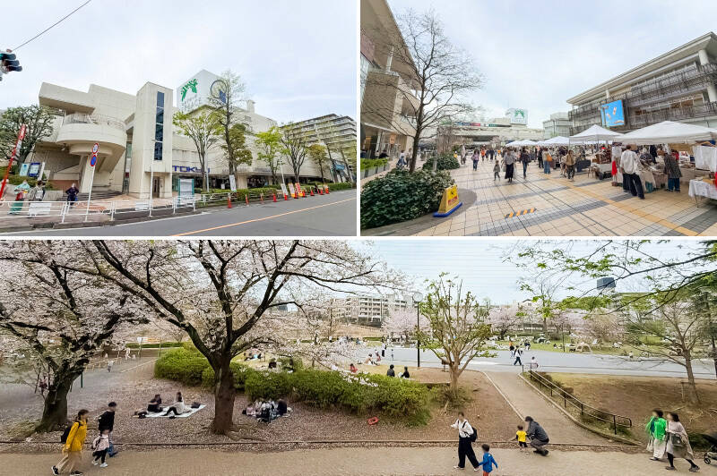 <b>左上・</b>田園都市線の急行停車駅「たまプラーザ」。駅前には「東急百貨店 たまプラーザ店」があり、ファッションに家具家電、レストランにスーパーまで、暮らしに必要なものがなんでも揃っています。(徒歩10分)/<b>右上・</b>駅直結の「たまプラーザ テラス」では様々なイベントが開催され、長く住んでも飽きることがなさそう。(徒歩13分)/<b>下・</b>桜の時期、賑わいを見せていた「美しが丘公園」。お子さまが伸びのび遊べる広場があり、遊具も充実しています。(徒歩5分)
