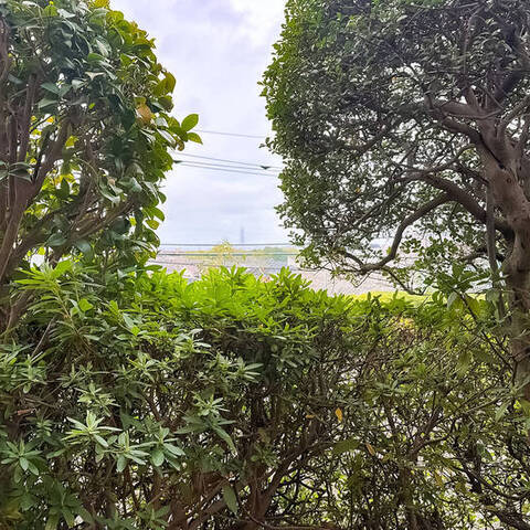 ライオンズマンション鷺沼第5の室内写真