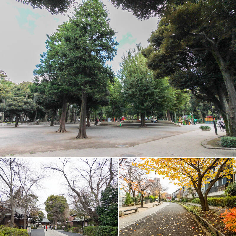 <b>上・</b>緑がいっぱいの「若林公園」。思い切り駆け回れる広さに、お子さまが心踊る、さまざまな遊具まで備わっています。(徒歩7分)/<b>左下・</b>一歩足を踏み入れると、街の喧騒を忘れるような澄んだ空気が流れる「松陰神社」。美しい緑を眺めながら、心落ち着くひと時を。(徒歩7分)/<b>右下・</b>ジョギングやワンちゃんとのお散歩には「烏山川緑道」がおすすめ。木陰が多く、夏場も比較的涼しく感じそう。(徒歩1分)