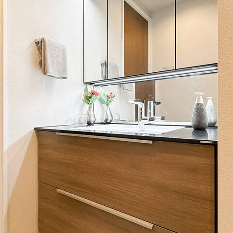 菱和パレス目白台グラーサの室内写真