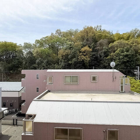 ダイアパレス向ヶ丘遊園の室内写真