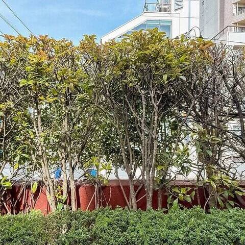 東高元代々木ペアシティの室内写真