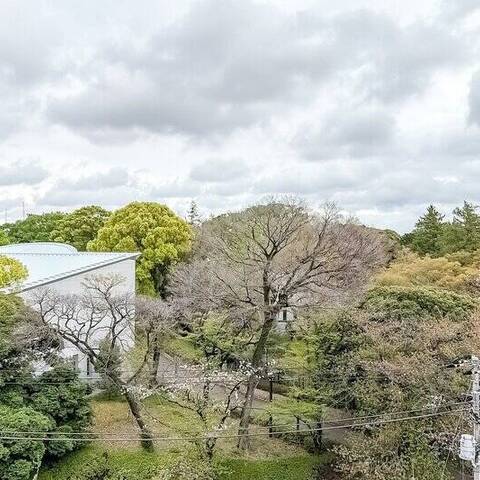 リッシェル飛鳥山の室内写真