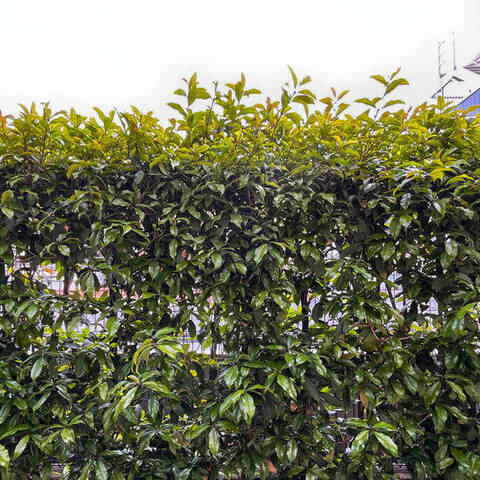 平和台ガーデンハウスの室内写真