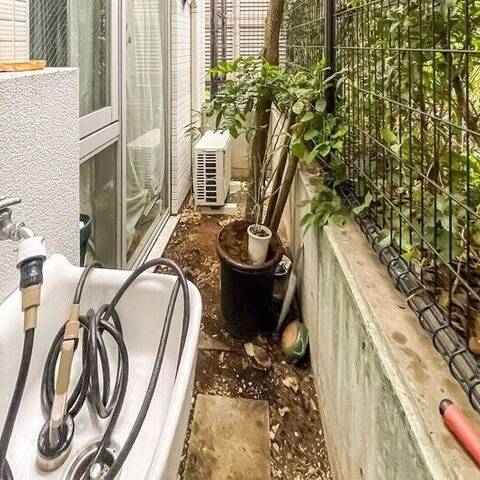 パルテール小石川五丁目の眺望・バルコニー写真