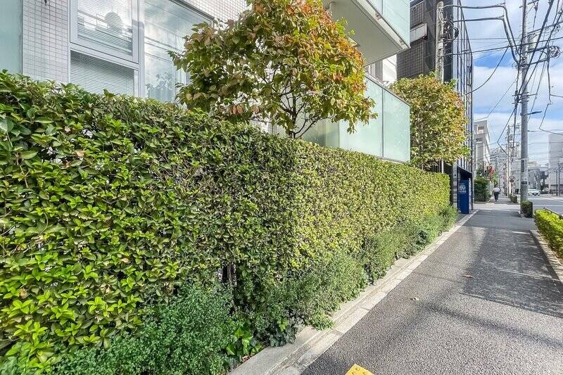 こちらは、マンション前面の道路から住戸を見たカット。しっかりと植栽に覆われていて、視線は気になりません。