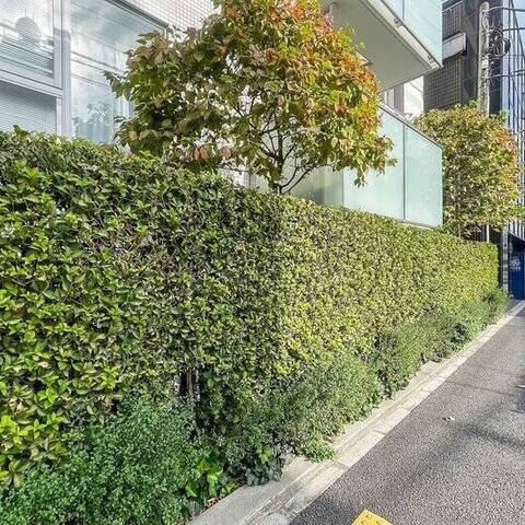 パルテール小石川五丁目の眺望・バルコニー写真