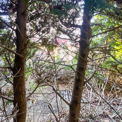 パークホームズ弦巻ヴェリールの眺望・バルコニー写真