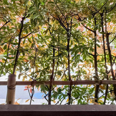 セーシェル恵比寿の室内写真