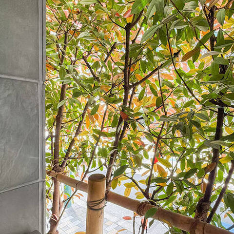 セーシェル恵比寿の室内写真