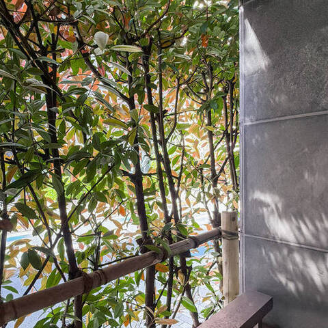 セーシェル恵比寿の室内写真