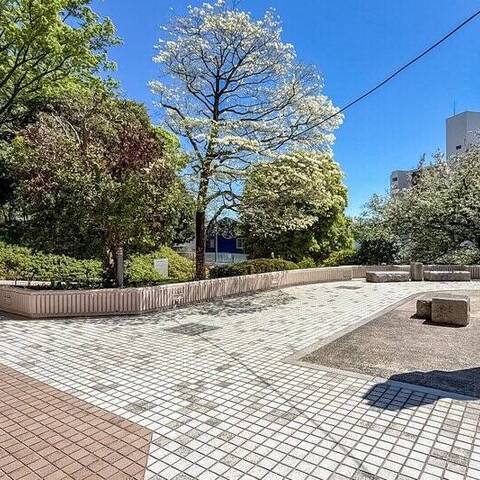 アルスあざみ野の建物・共用部写真