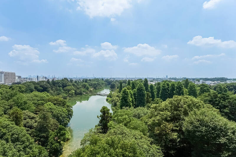 晴れた日の写真もどうぞ。こちらは2フロア下にある同じ向きの住戸からの眺望です。（2025年7月撮影）