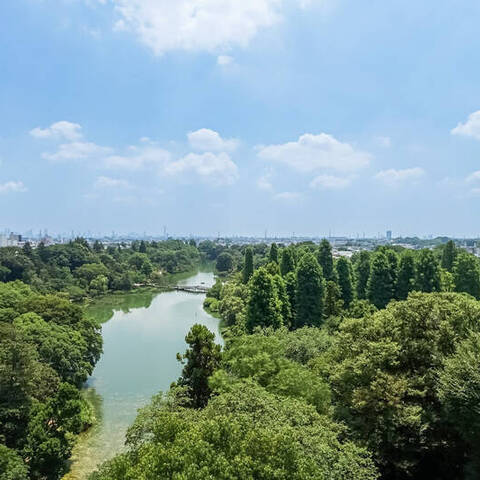 メゾン井の頭の眺望・バルコニー写真