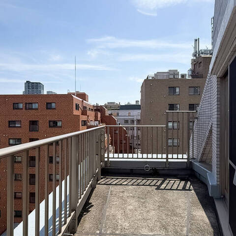 エルラフィナ白金の室内写真