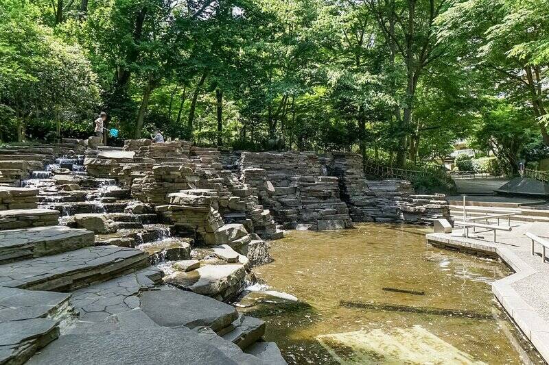 メインエントランスを抜けた先はまるで森林！ 気持ちよすぎてどこかに腰を下ろしたくなりますが、ズンズン進みます。