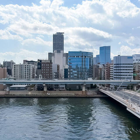 ナイスアーバン新大橋隅田川ステージの室内写真