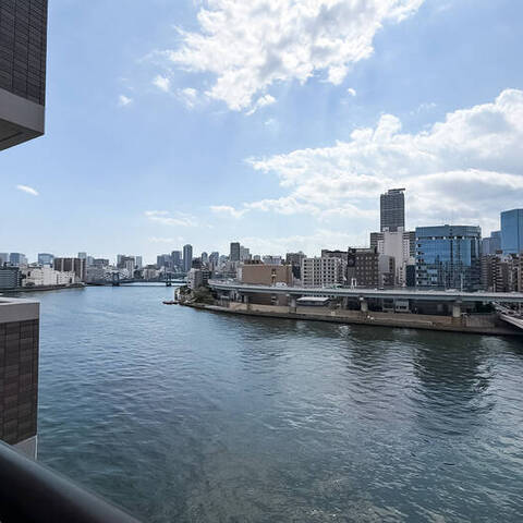 ナイスアーバン新大橋隅田川ステージの室内写真