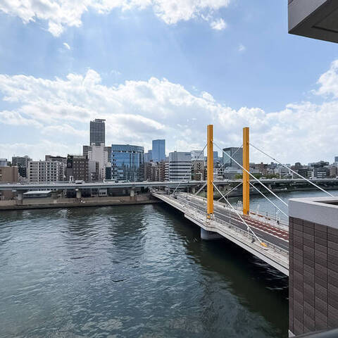 ナイスアーバン新大橋隅田川ステージの室内写真