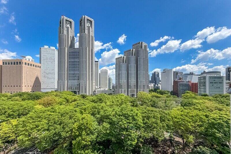 今回ご紹介する物件は、最寄りの都営大江戸線「都庁前」駅から徒歩5分。12階の高層階に位置しており、東側のバルコニーから「新宿中央公園」の豊かな緑と「東京都庁舎」の姿を望みます。