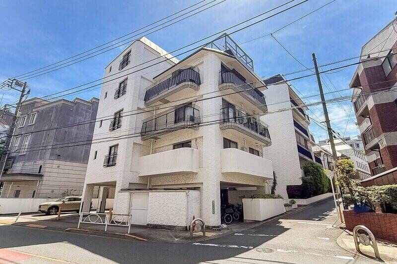 1984年竣工・総戸数27戸とややコンパクトな規模。他の秀和シリーズに比べると比較的築年数は浅く、<b>新耐震基準に適合</b>しています。ウロコ模様とアールがかったバルコニーが特徴的な外観です。