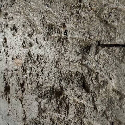 自由が丘ハイムのディティール写真