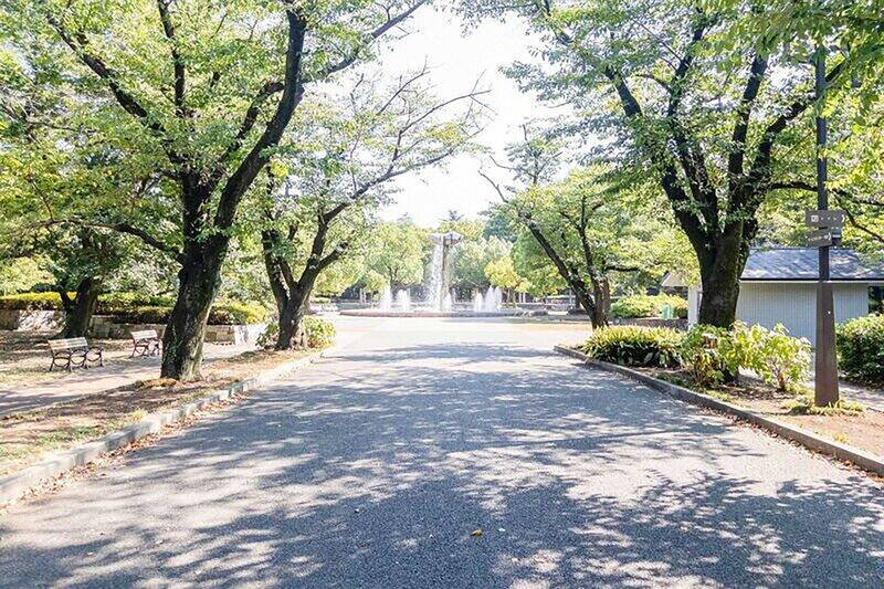 自然豊かな「府中の森公園」までは徒歩15分。写真のプロムナードには、桜が咲き乱れますよ。「府中市美術館」や「府中の森芸術劇場」が併設しており、アートやコンサートも楽しめます。