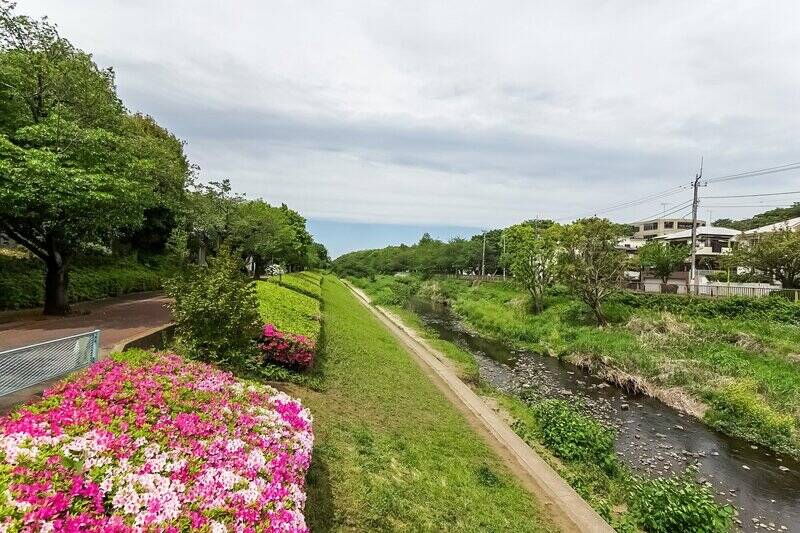 こんにちは、カウカモです！ 野川沿いの緑道を歩きながら、マンションへ向かっています。うーん、なんとものどかなルートです。