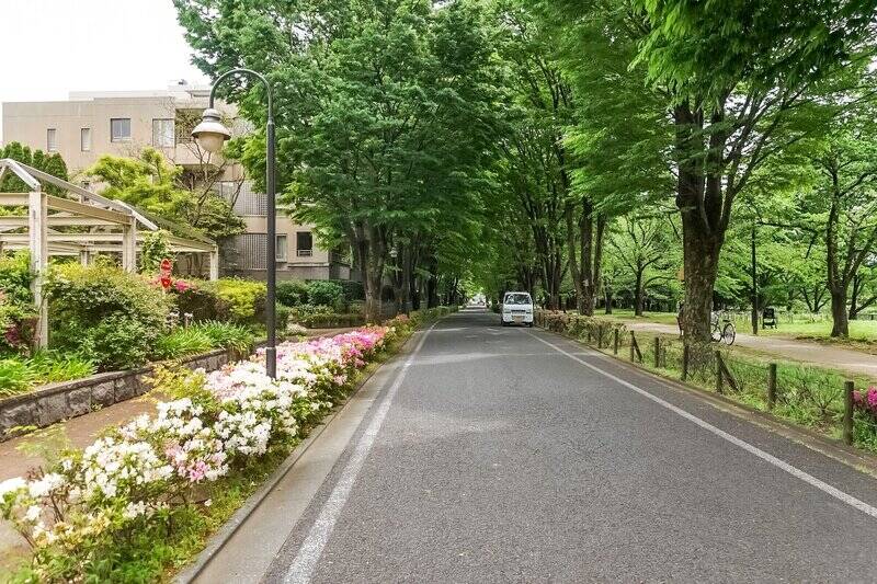 マンションのそばには、ご覧の並木道。まるで緑のトンネルです。こんなに自然を感じられるルートなんて、なかなかありません。