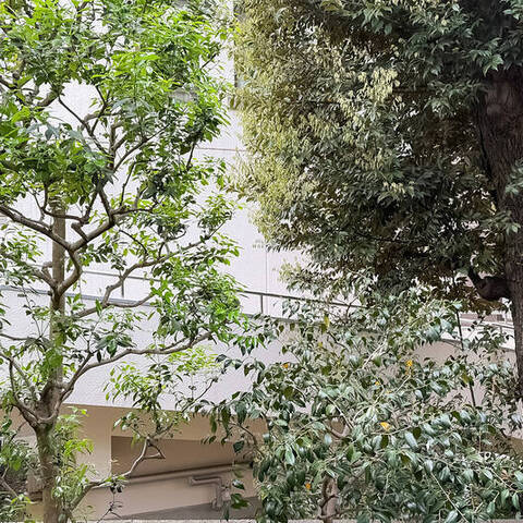 島津山岩波ハイツの室内写真