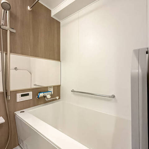 ライオンズマンション新板橋の室内写真