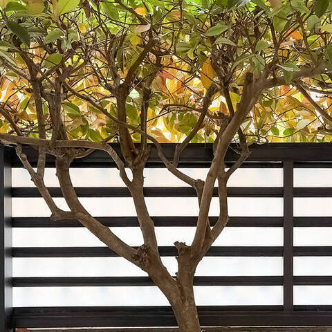 マイキャッスル板橋の室内写真