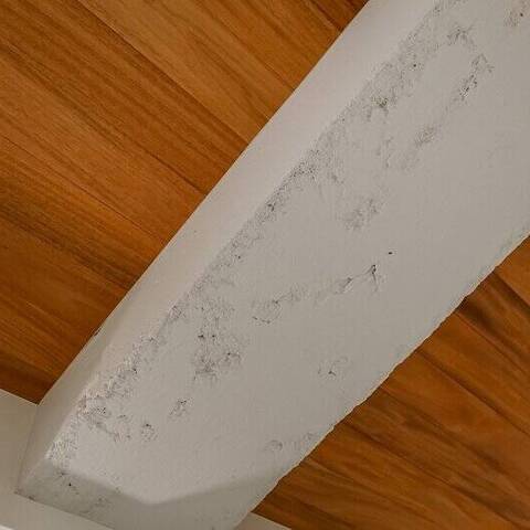 キャッスル共進マンションのディティール写真