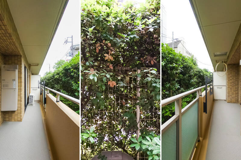 LDKからアクセスする南東向きのバルコニー。背の高さほどの植栽があるため、人目を気にせず過ごせる落ち着きがあります。