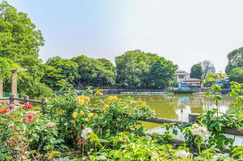 今回ご紹介する物件は、最寄りの東急東横線「学芸大学」駅から徒歩9分。豊かな緑と池が広がる「碑文谷公園」（徒歩8分）にもほど近い、穏やかなエリアです。