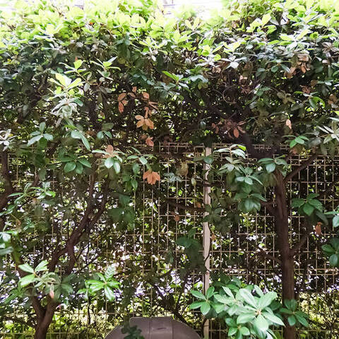 ソフィア学芸大学の眺望・バルコニー写真