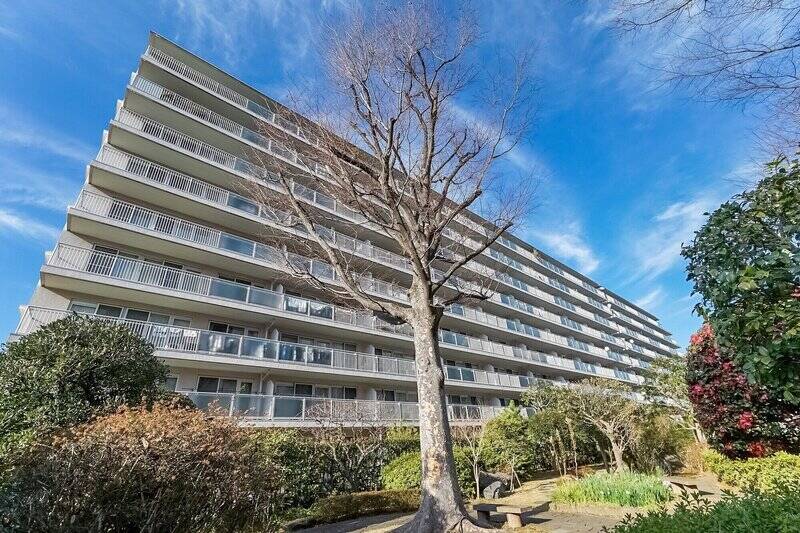 マンションは1973年生まれで、向かい合う2棟からなるビッグコミュニティです。ご紹介した住戸の所在棟だけで、143戸もの暮らしを抱いています。戸数が多いこともあり、月々の共益費が控えめなのはうれしいポイントですね。